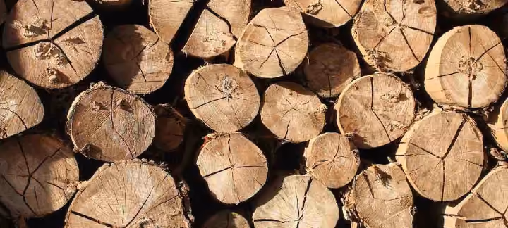 Assurer sa maison à ossature bois