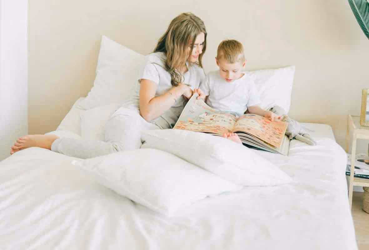 Assurance punaises de lit