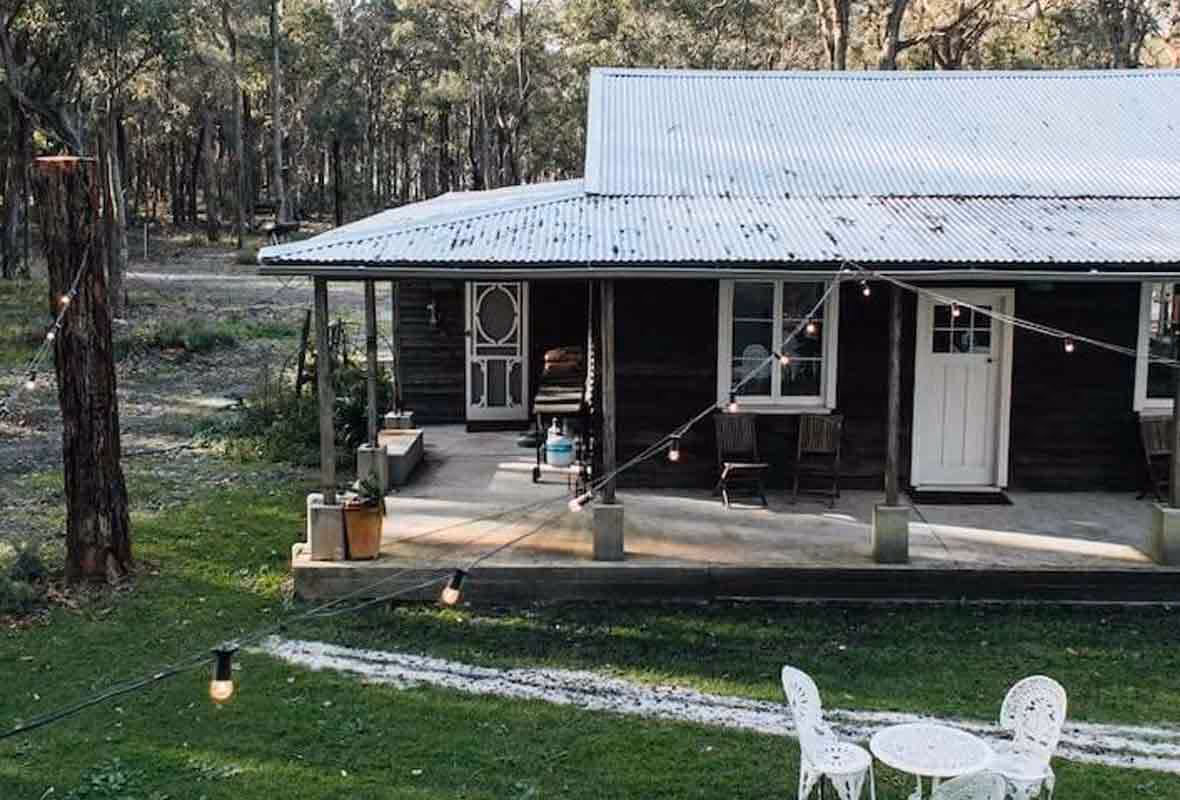 Chute d'arbre et assurance habitation