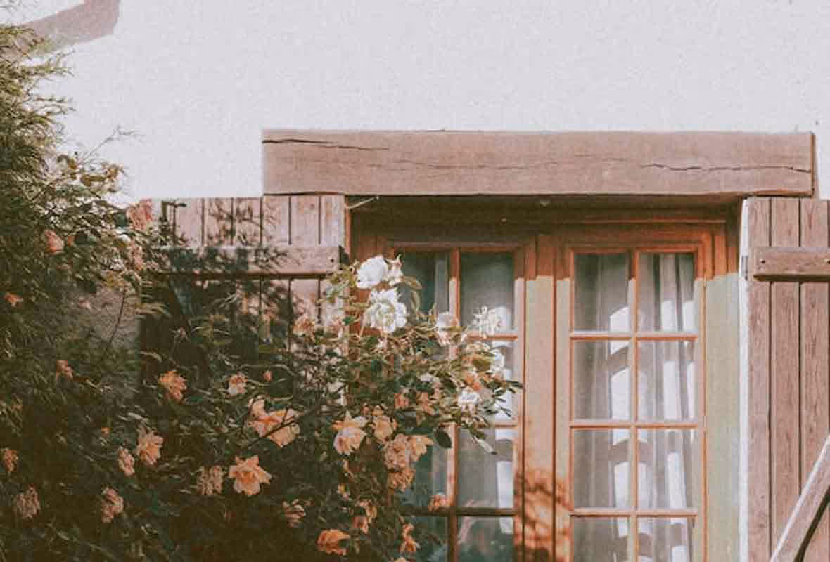 Nid de frelons : que faire ?