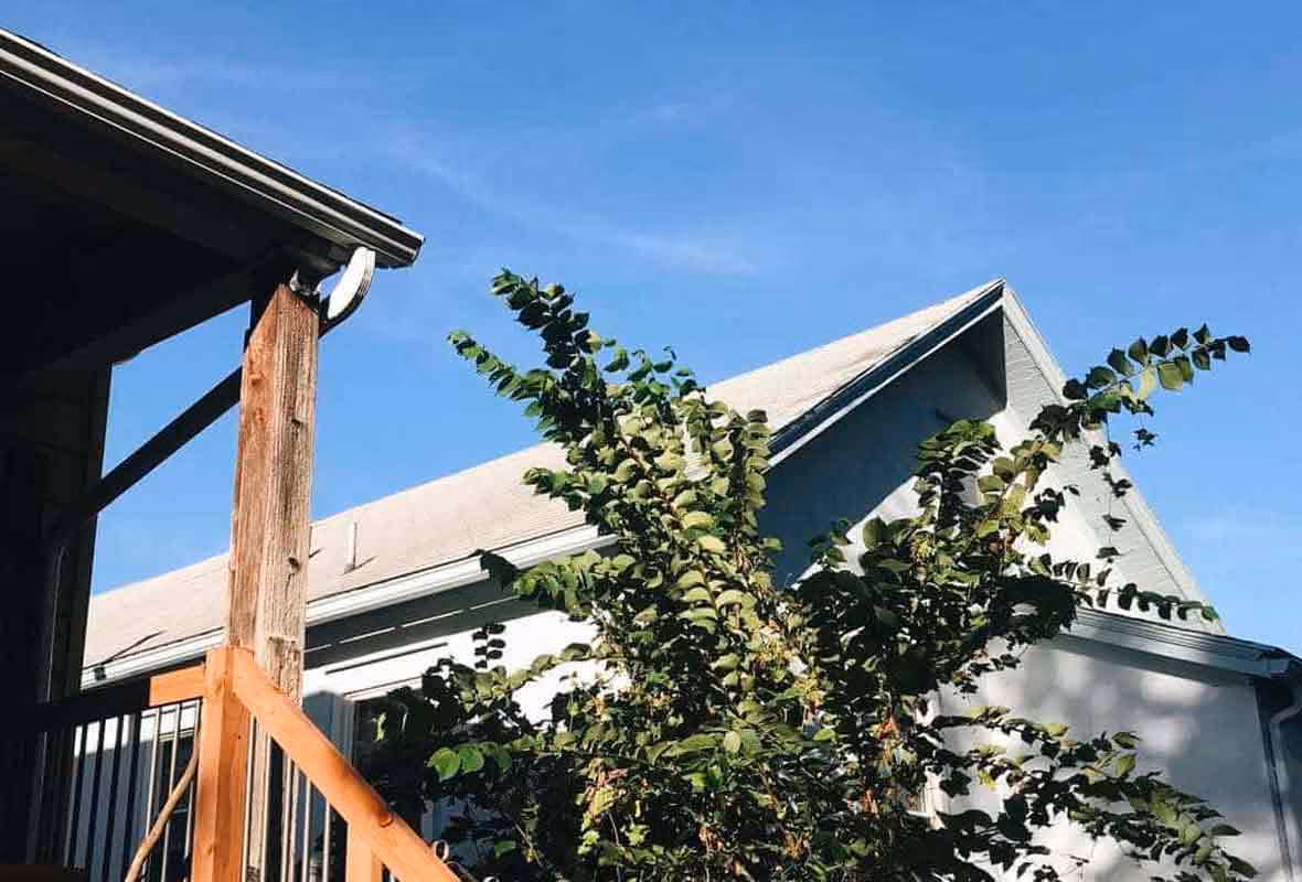 Élagage des arbres  la réglementation en cas de litiges